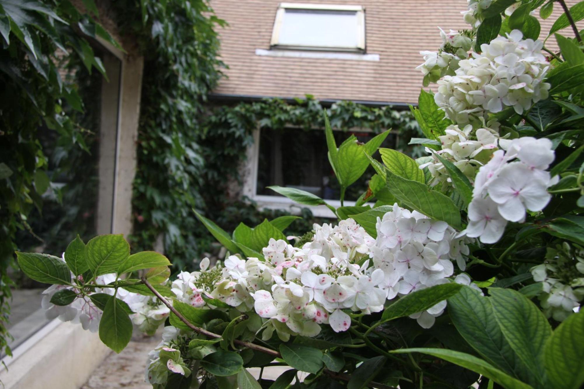 L'Hibernie Bed and Breakfast Rochefort-en-Yvelines Eksteriør billede