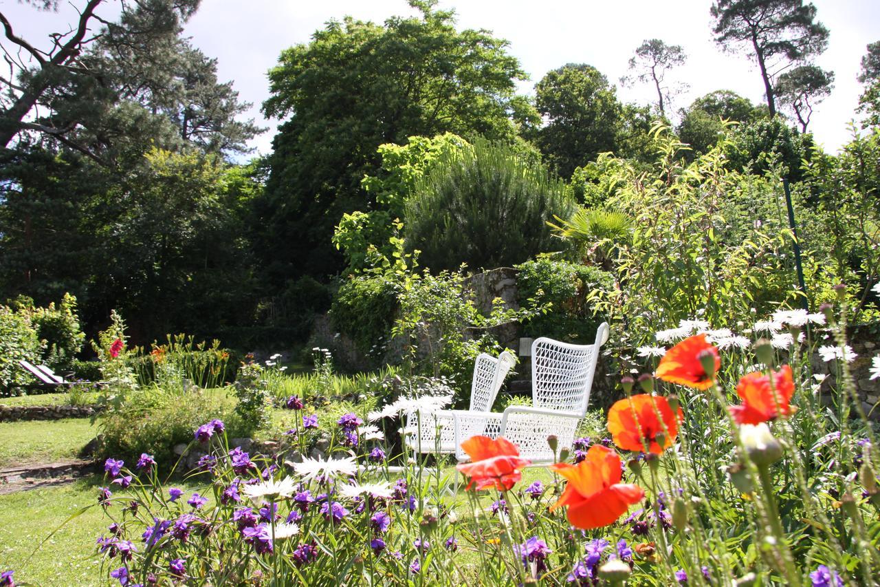 L'Hibernie Bed and Breakfast Rochefort-en-Yvelines Eksteriør billede
